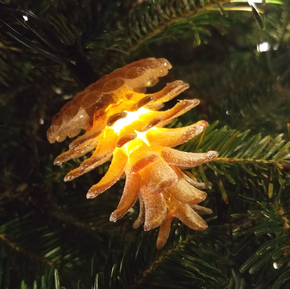 Meet your Posher, Robin